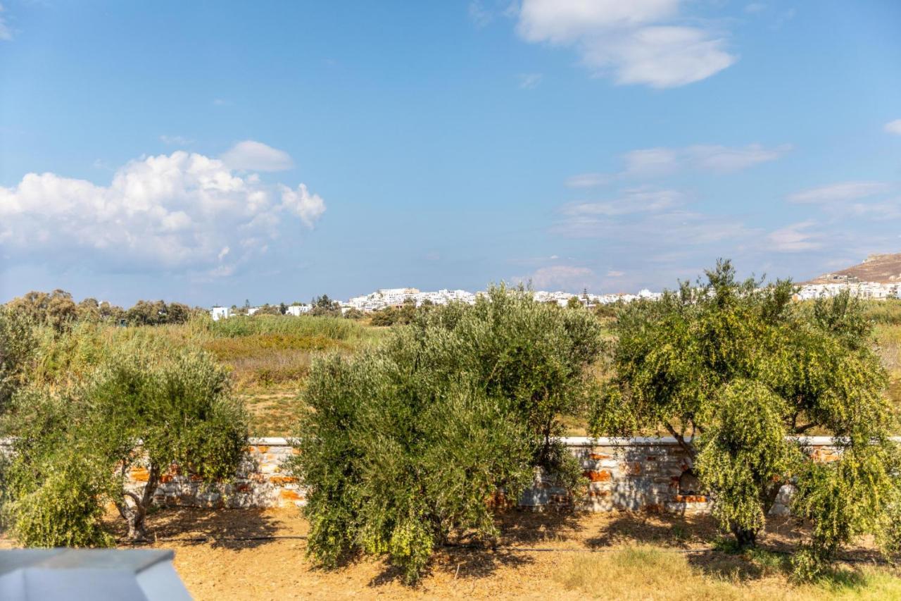 Surfer Paradise Naxos City Dış mekan fotoğraf