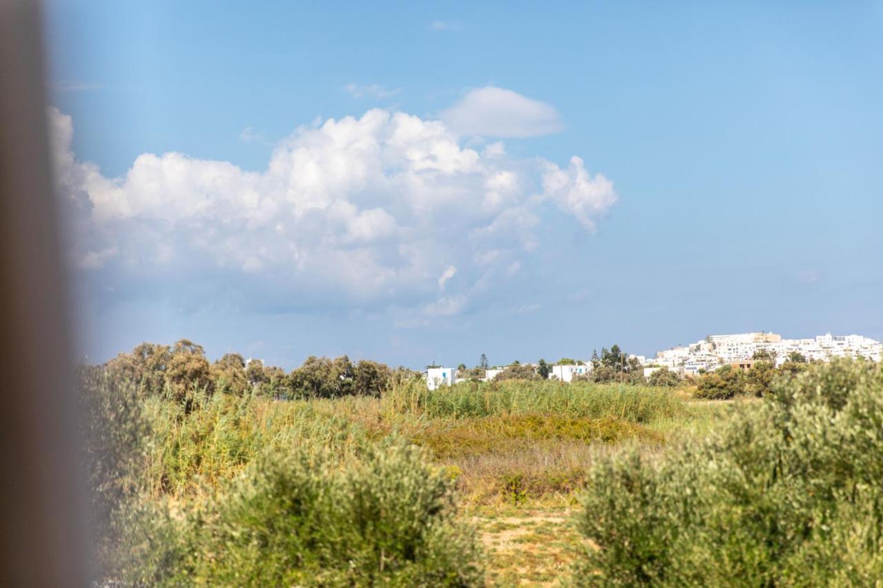 Surfer Paradise Naxos City Dış mekan fotoğraf