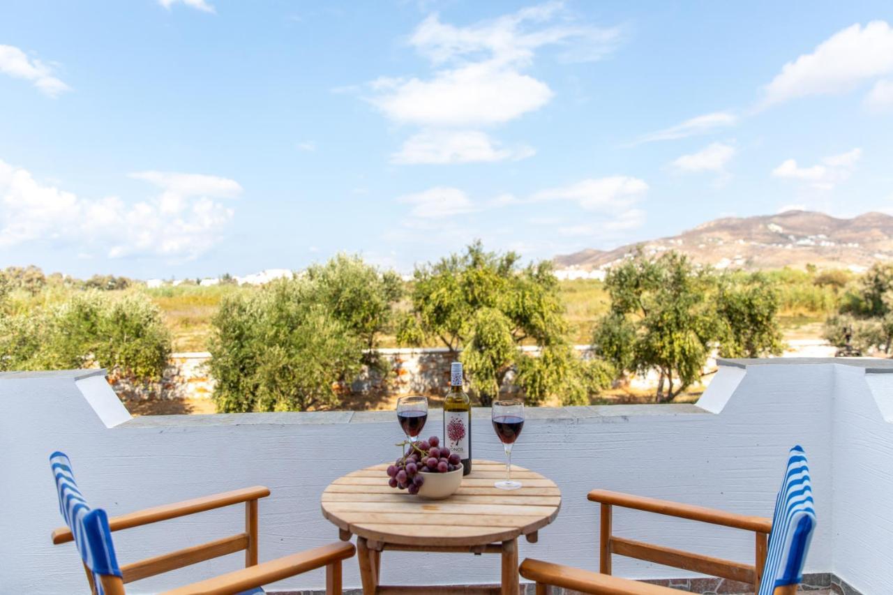 Surfer Paradise Naxos City Dış mekan fotoğraf